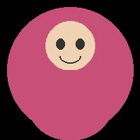 数据分析师李娜